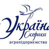 Бруківка - starbruk.com Підволочиськ